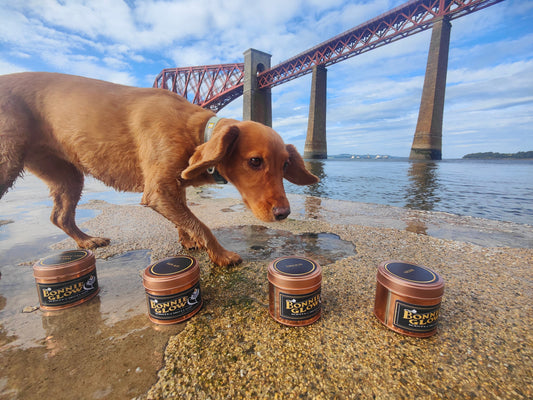 The Best Scottish Candle Gifts for 2026